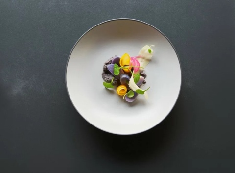 EQUINOXE Misa szara REVOL