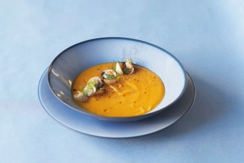 EQUINOXE Talerz głęboki niebieski REVOL