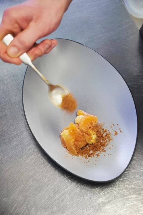 EQUINOXE Talerz owalny szary REVOL