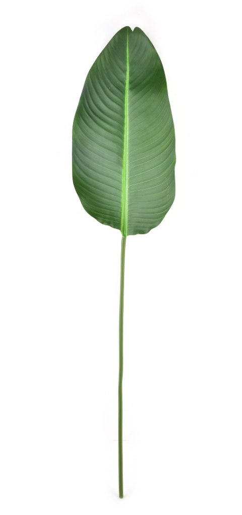 VIRIDIIS Sztuczny kwiat 100x2,5cm Liść VIRIDIIS Sztuczny kwiat 100x2,5cm Liść